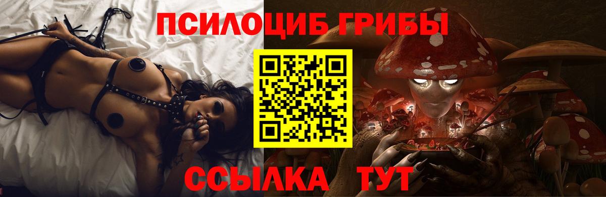 Галлюциногенные грибы прущие грибы Новошахтинск